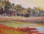 Plein Air Landscape - Pacheco Pond Morning